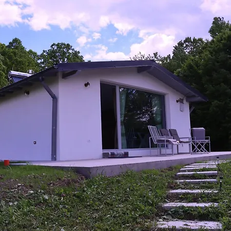 Perfect View Cottage With Pool Buhalnita Exterior photo