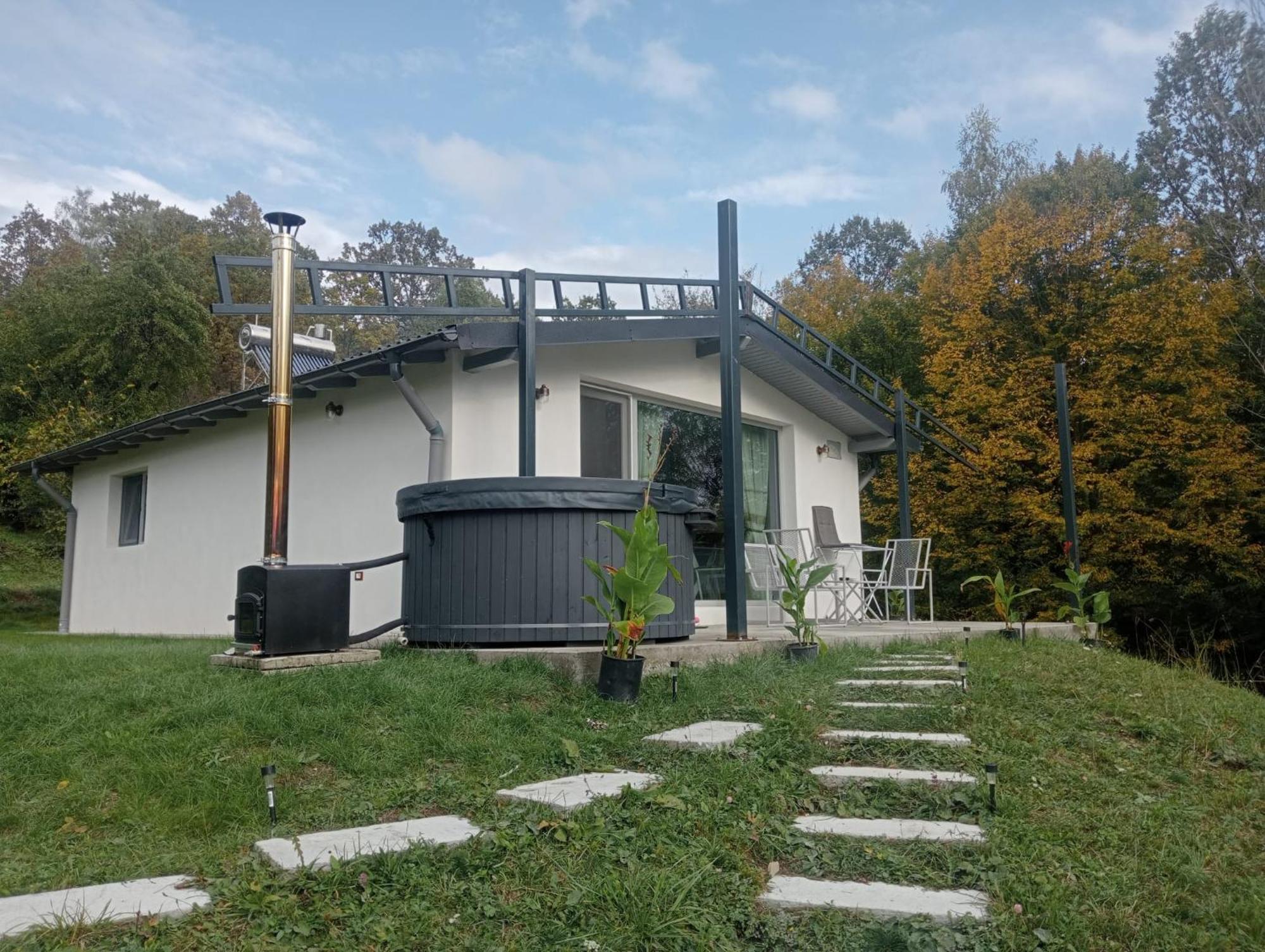 Perfect View With Pool Holiday home Buhalnita